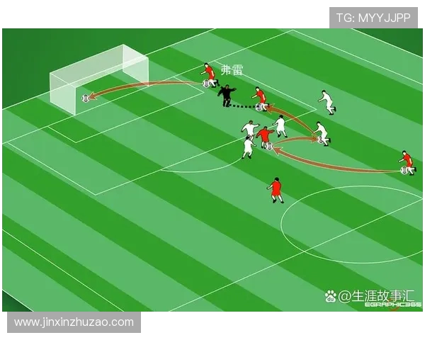 法甲赛季战术执行力评估：球员配合与教练战术实现